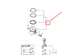 119181-22081 PISTON W/RINGS ASSY STD