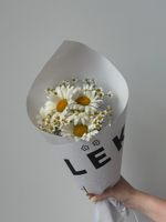 Кулек из ромашек
