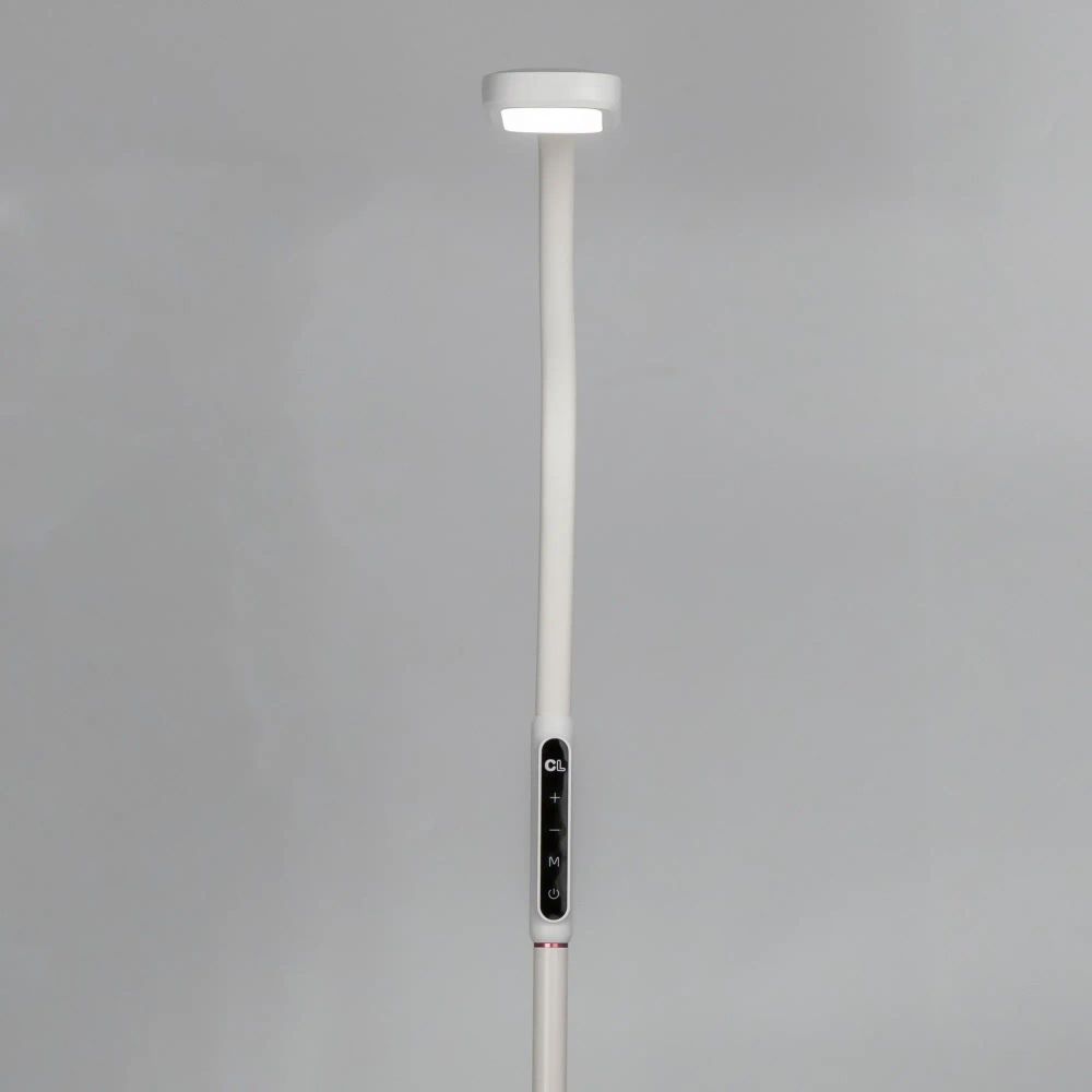 Citilux Марк CL804020 Торшер гибкий светодиодный Белый