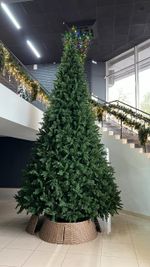 Большая елка «Городская» (Литая хвоя) 6 м