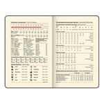 Ежедневник недатированный МАЛЫЙ 100х150 мм А6 BRAUBERG "Metropolis Ultra", под кожу, 160 л., красный, 113299