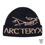 Шапка Arcteryx