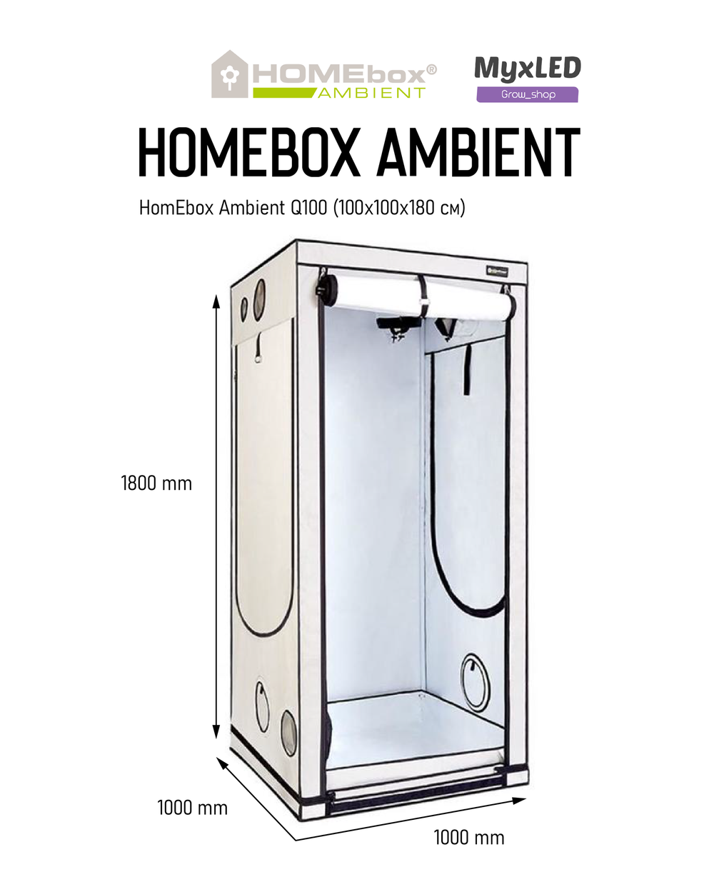 HomeBox Ambient