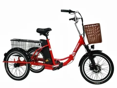 Электровелосипед Green Camel Трайк-20 (R20 500W 48V) Складной