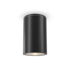 Потолочный светильник Ролл / Roll GU10х1 50Вт IP 54 Outdoor o307cl-01b