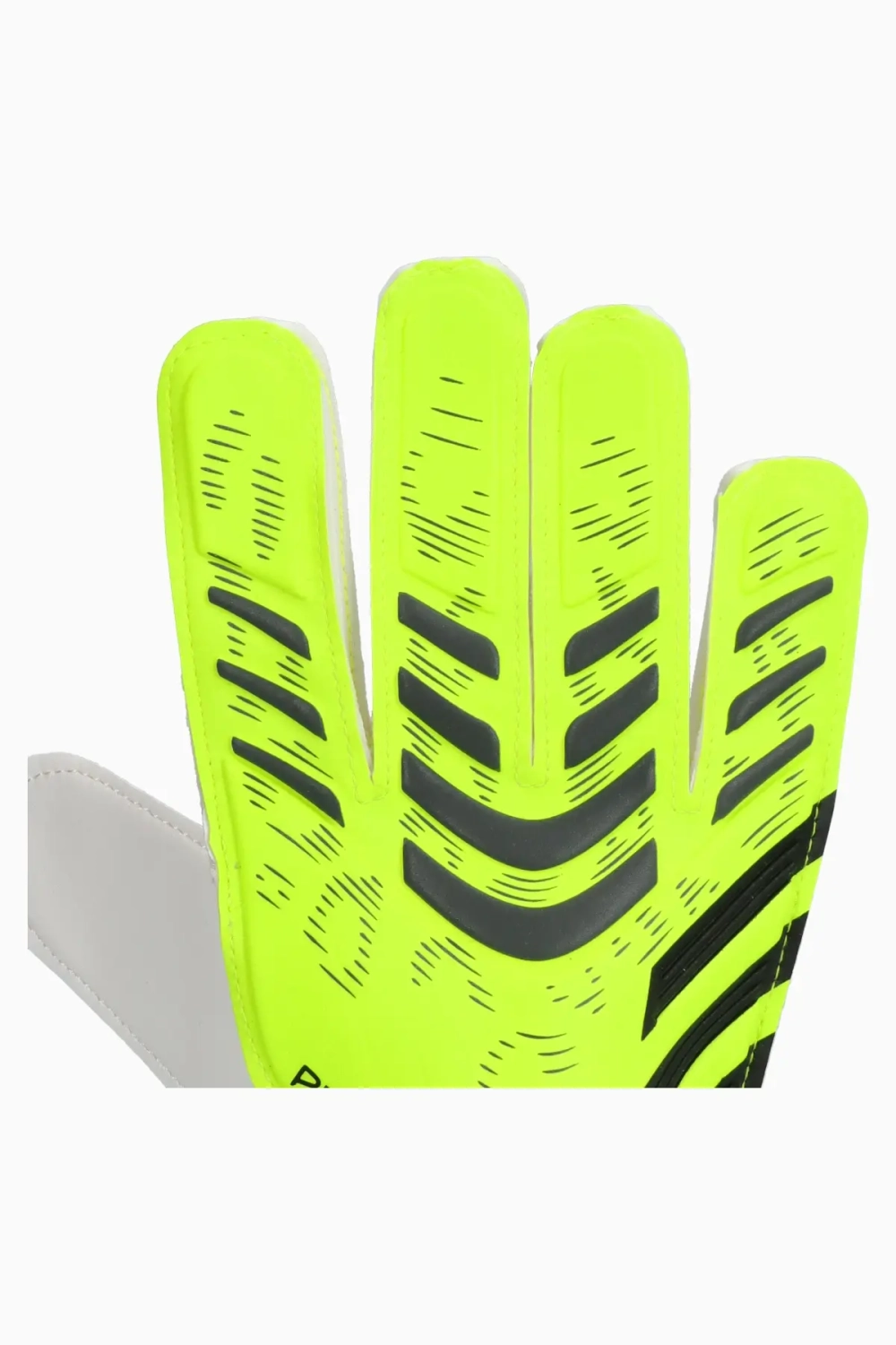 Вратарские перчатки adidas Predator Training Junior - зеленый