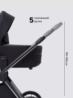 Коляска 2 в 1 Rant Falcon Therm
