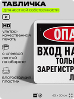 Табличка для частной территории "Опасно, вход на крышу только для зарегистрированных лиц", на дом, для участка, организаций и частных территорий, 40х30 см, Silver Plane x Айдентика Технолоджи