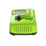 Ультрабыстрое зарядное устройство Greenworks G24C8, 24V, 8A (2958707)