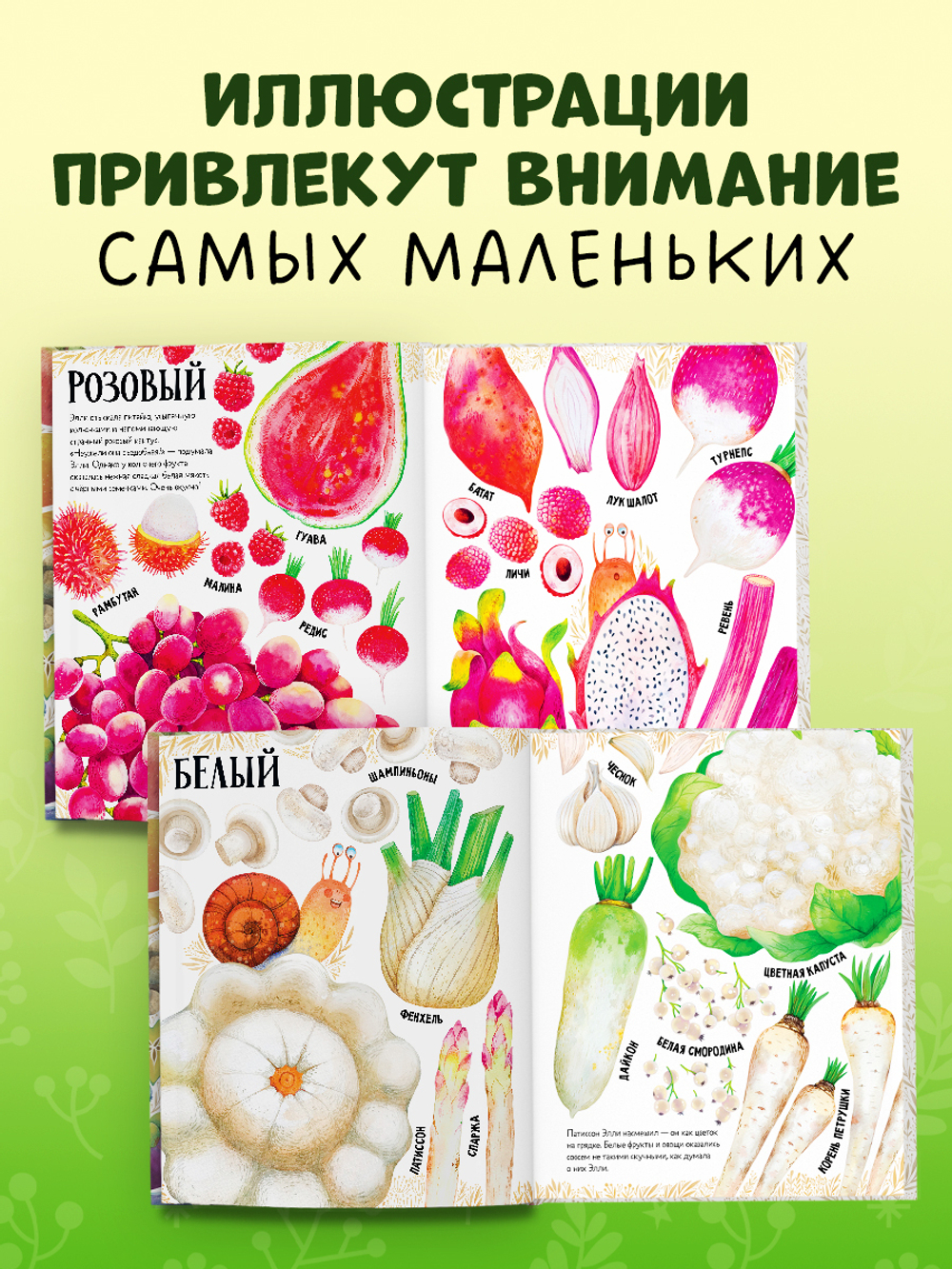 Первые книжки малыша. Приключения улитки Элли в мире фруктов и овощей (мягкая обложка)