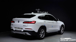 BMW X4 (G02) xDrive20i xLine (03.2020)