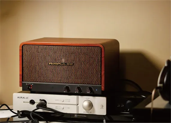 Edifier AirPulse P100X Walnut