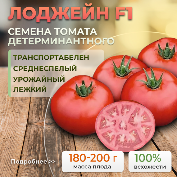 ЛОДЖЕЙН F1 семена томата (Enza Zaden | Alexagro)