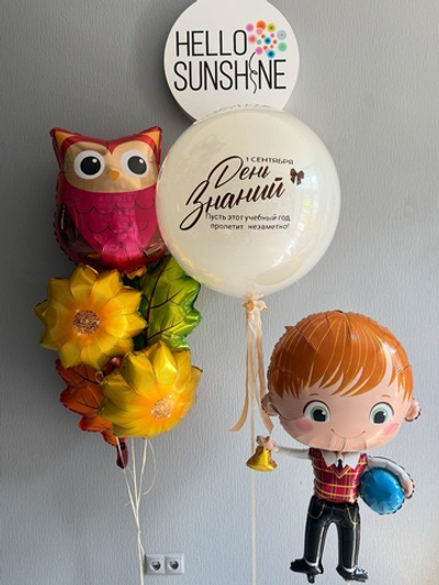 Набор шаров на 1 сентября #3