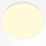 Потолочный светильник Technical C032CL-45W2.7K-RD-W