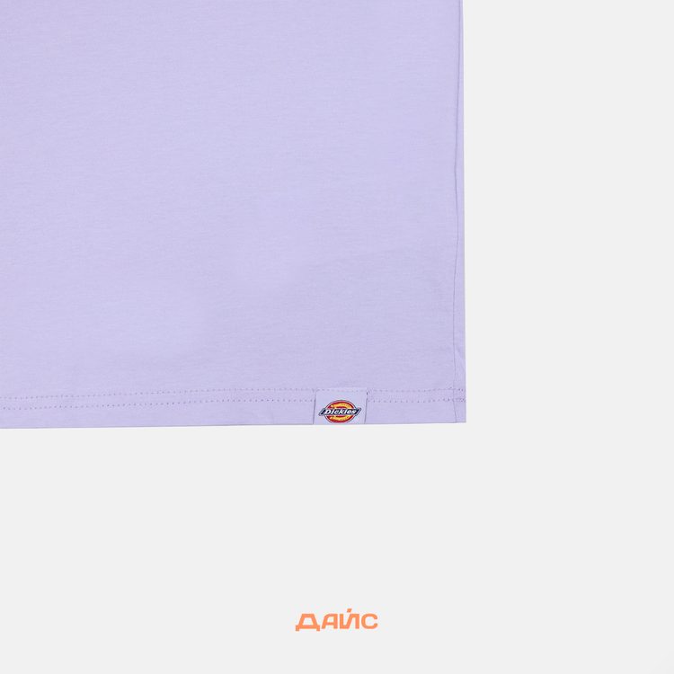 Футболка мужская Dickies Patrick Springs Tee артикул:DK0A4YR7H181 - купить в магазине Дайс