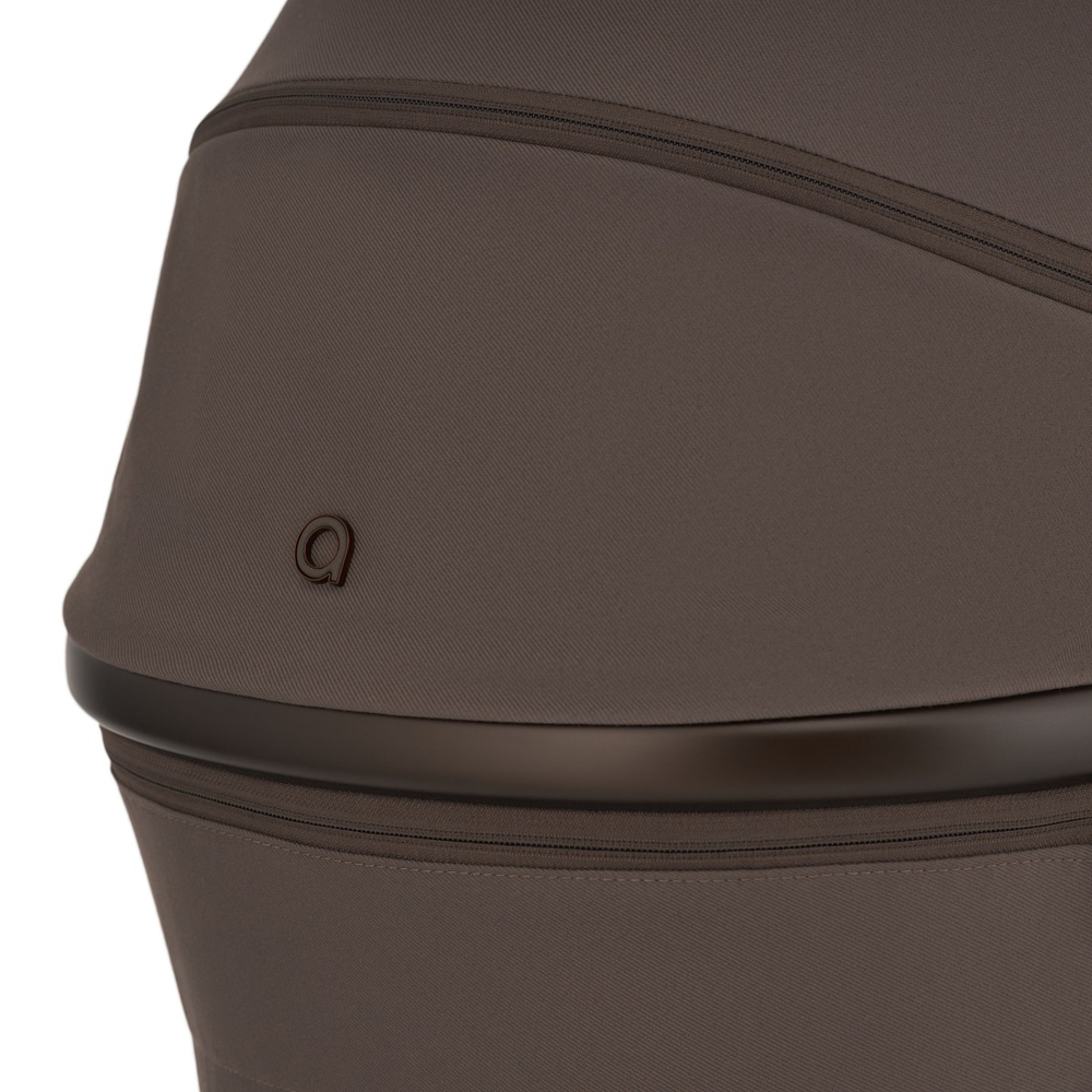 Коляска 2 в 1 ANEX Flo Browny