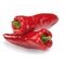 Каптур F1 семена перца сладкого (Seminis / ALEXAGRO) культура