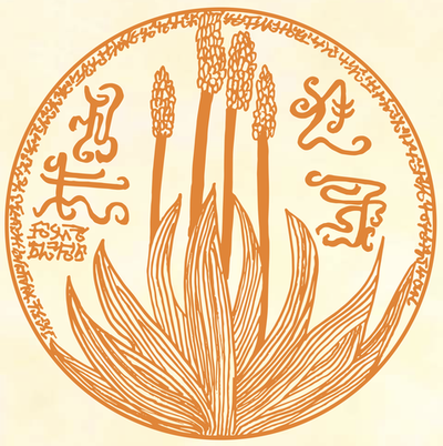 Новые Руны Божественной Матери - Вебинар 9