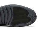 Кроссовки Jordan Air Jordan 12 Retro Psny