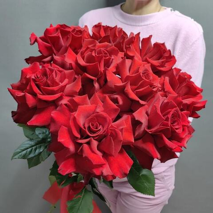 9 французских роз сорта "Эксплорер" под ленту (Эквадор 60 см)