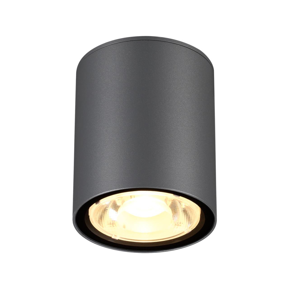 358011 STREET NT19 385 темно-серый Ландшафтный светильник IP65 LED 3000К 6W 220V TUMBLER