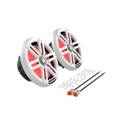 Влагозащищенные динамики 8" Rockford Fosgate M2-8 (250Вт/1000Вт)