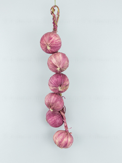 Лук фиолетовый