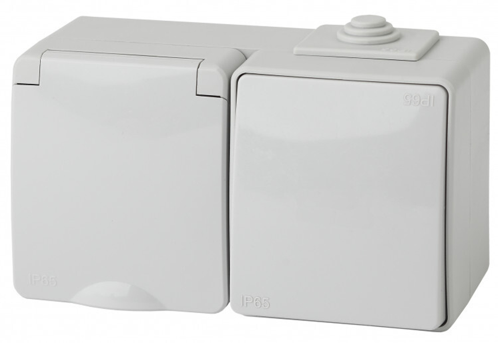 Блок розетка+выкл. гориз. IP65, 16A(10AX)-250В, серый Эксперт ЭРА