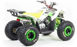 Квадроцикл Motoland 125 COYOTE