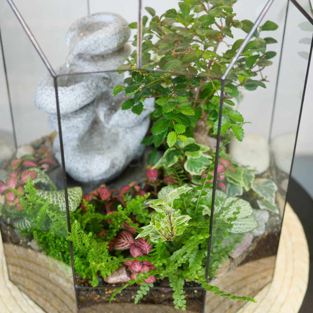 Готовый флорариум Ботанический сад с бонсай XL с водопадом