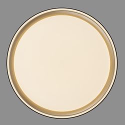 Citilux BOSS CL751251G LED RGB Светильник с пультом Чёрный с Золотом