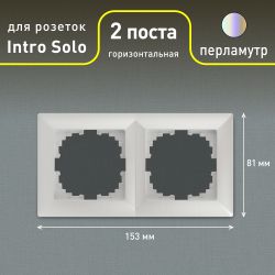 Рамка для розеток и выключателей Intro Solo 4-502-06 на 2 поста, СУ, перламутр