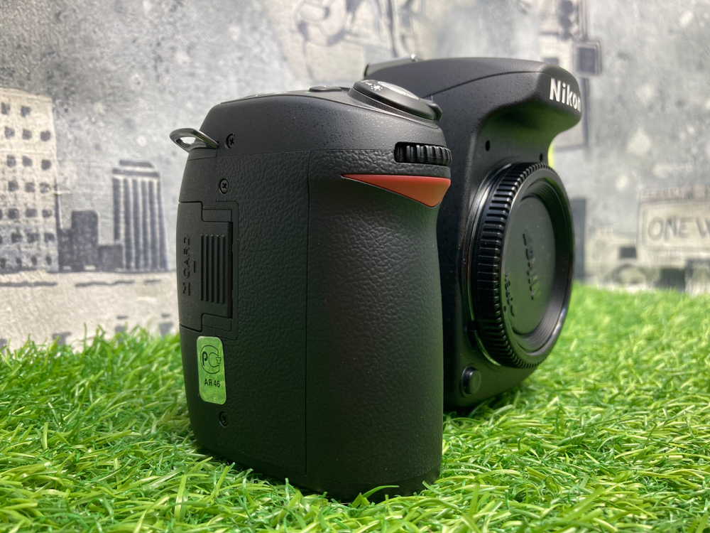 Nikon D80 10 кадров