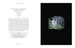 Divine Jewels: The Pursuit of Beauty