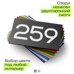 Номер на дверь 259, табличка на дверь для офиса, квартиры, кабинета, аудитории, склада, черная 120х70 мм, Айдентика Технолоджи
