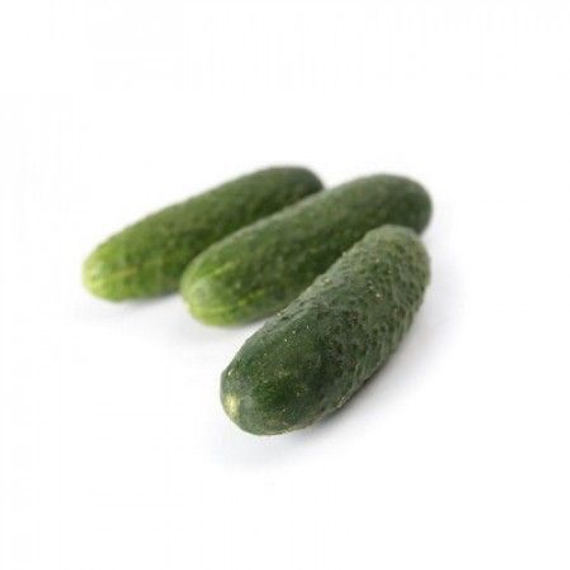 ЧАЙКОВСКИЙ F1 семена огурца Rijk Zwaan цена – фото 1