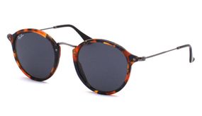 Ray-Ban 2447 1158/R5 Round Icons