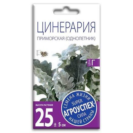 Цинерария Приморская, семена Агроуспех 0,1г