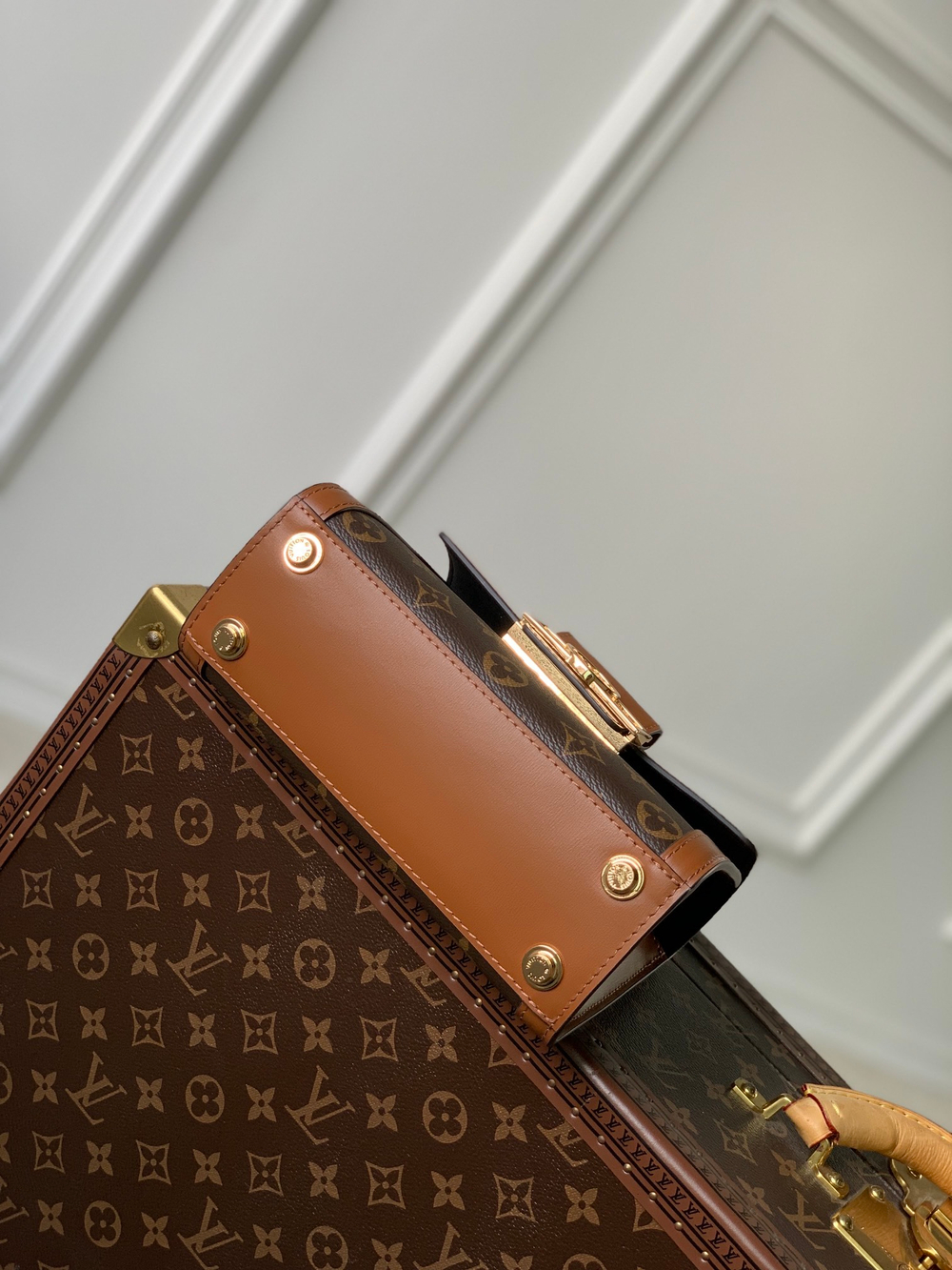 Louis Vuitton Dauphine Capitale Bag