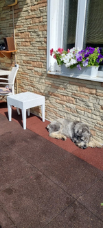 Столик плетеный для шезлонга Siesta Contract GT 1009, белый