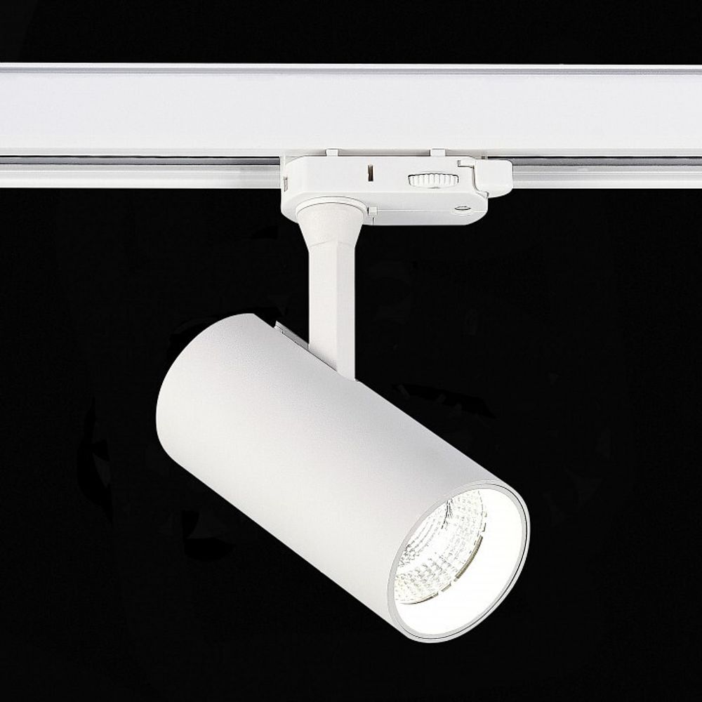 Светильник на штанге ST-Luce ST661 ST661.546.10