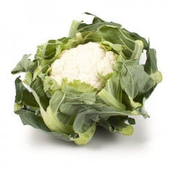 КАСПЕР РЗ F1 семена капусты цветной (Rijk Zwaan | Alexagro)