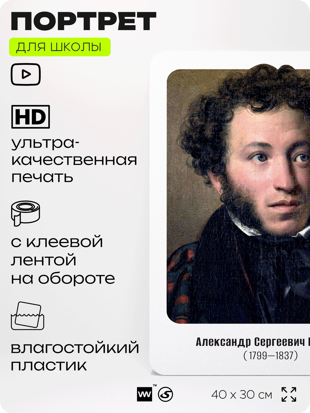 Портрет для школы в кабинет литературы и русского языка "Пушкин Александр Сергеевич", стенд школьный для класса, для оформления классного уголка, 40х30 см, Silver Plane x Айдентика Технолоджи