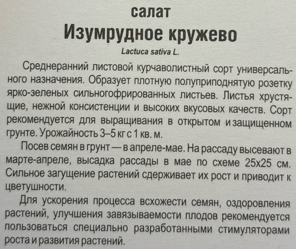 Салат Изумрудное кружево 0,5 г СМЗ-155