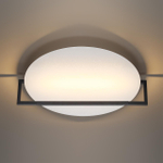 Настенно-потолочный светодиодный светильник Odeon Light LUNAR 7015/20WL