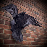 Чучело ворона