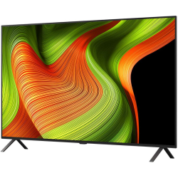Телевизор 55" LG OLED55B5RLA