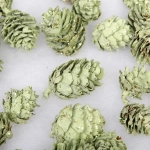 Композиция для декора «Лесное удовольствие» 11*11*14 см (150 гр), зелёный