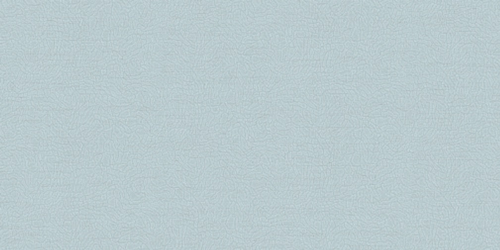 Обои Alessandro Allori Breeze RDT2210-4 1.06x10